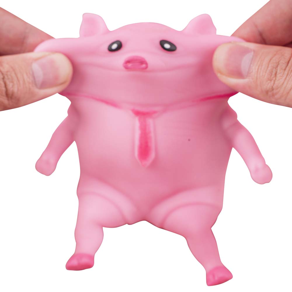 Funny Pig Sensory Fidget Toy